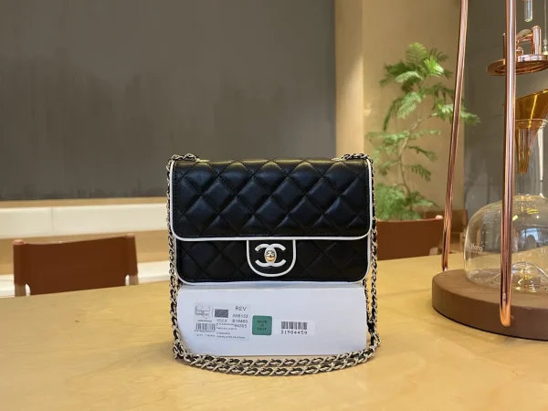 Chanel Quilted WOC Crossbody Bag image 1