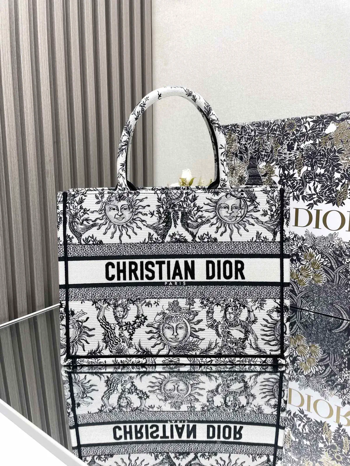 Dior Sun Constellation Embroidered Book Tote Bag image 1