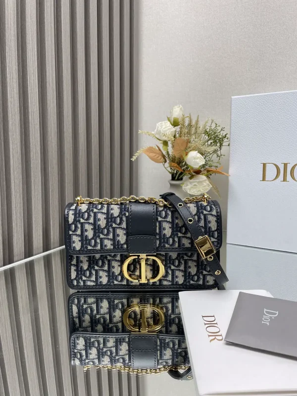 Dior Monogram Chain Shoulder Bag image 1