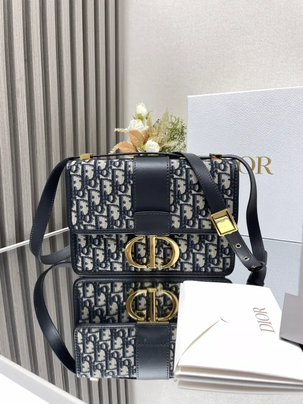 Dior 30 Montaigne Oblique Print Crossbody Bag image 1