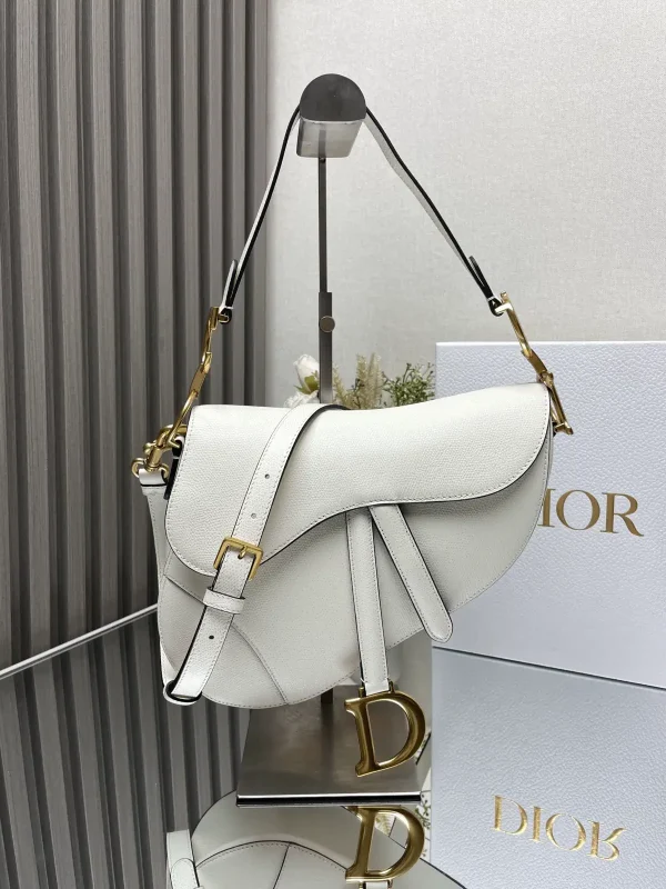 Dior Saddle Crossbody Bag image 1