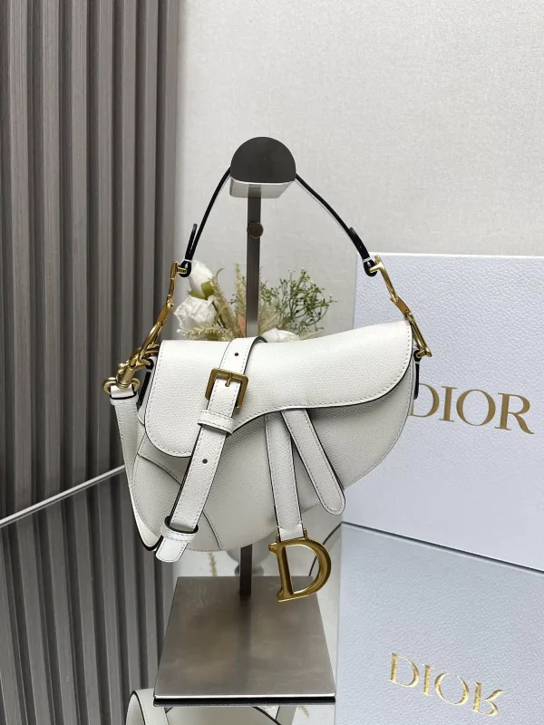 Dior Saddle Crossbody Bag image 1
