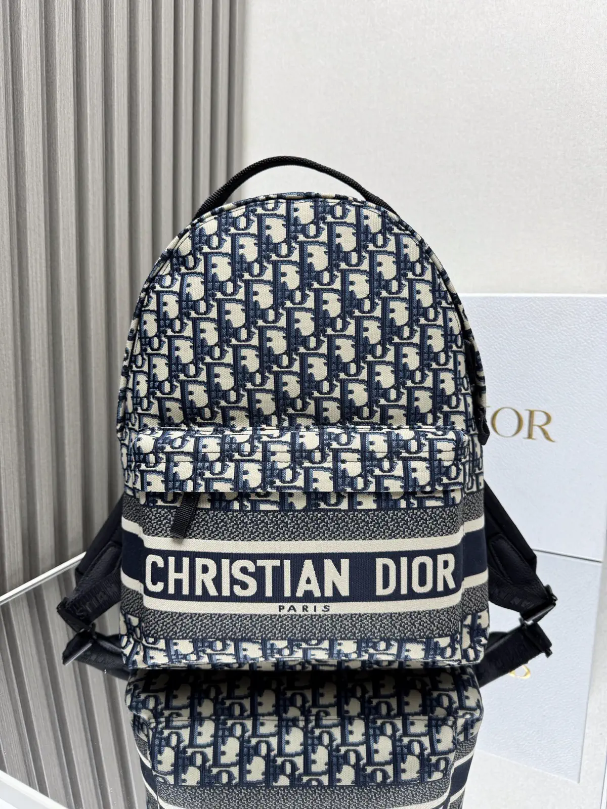 Dior Oblique Print Travel Backpack image 1