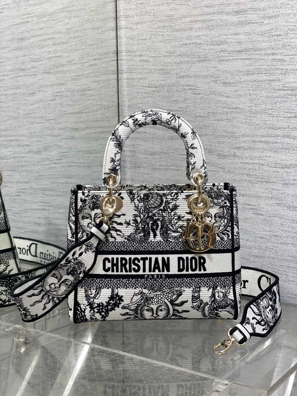 Dior Embroidered Top Handle Bag image 1