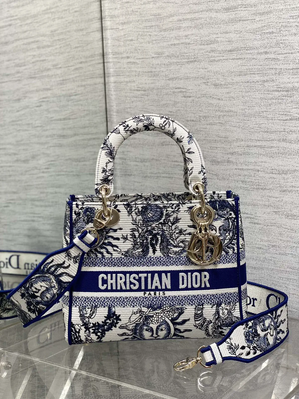 Dior Embroidered Top Handle Bag image 1