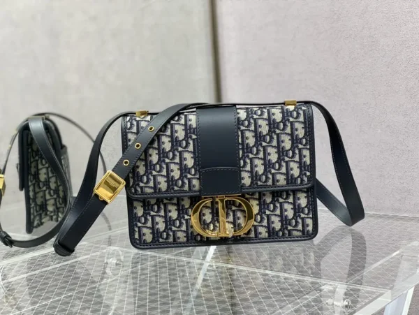 Dior Monogram Crossbody Bag image 1