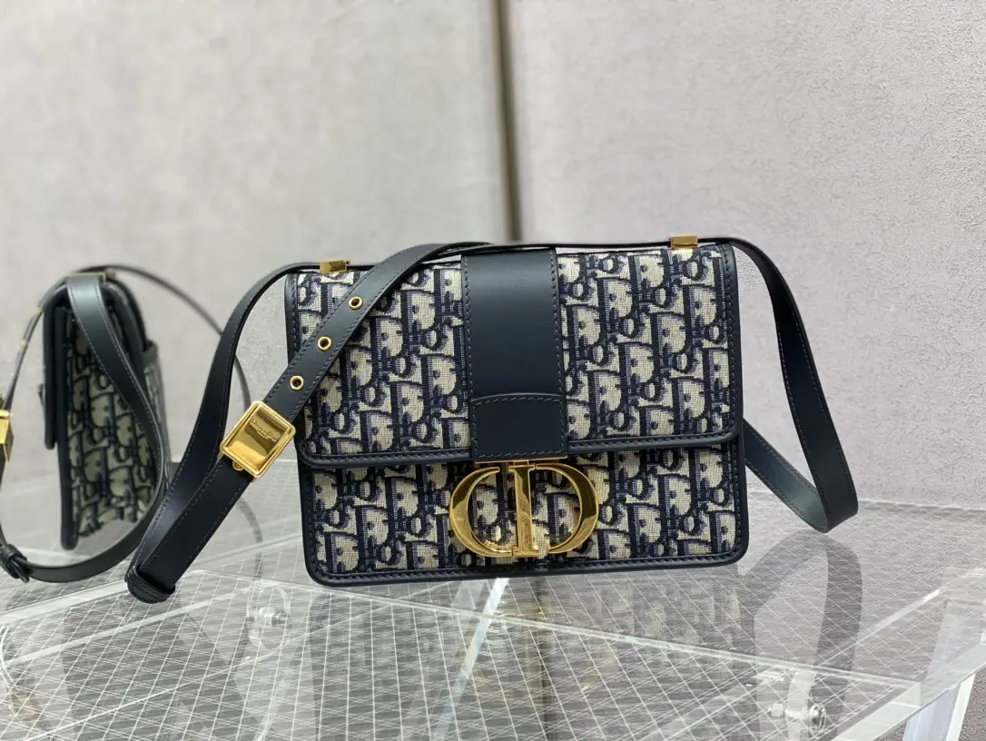 Dior Monogram Crossbody Bag image 1