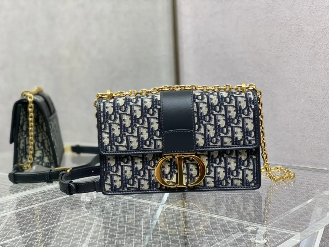 Dior Monogram Chain Shoulder Bag image 1