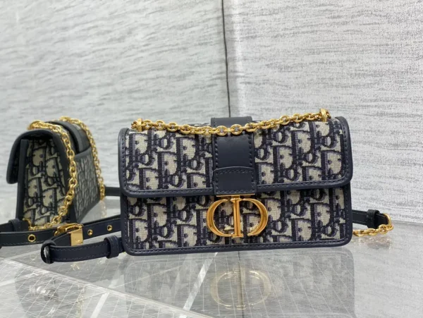 Dior Monogram Chain Shoulder Bag image 1