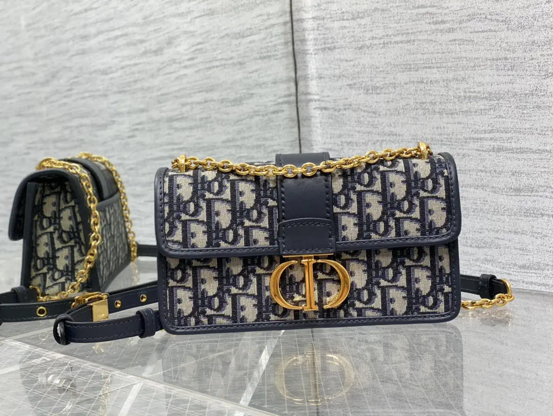 Dior Monogram Chain Shoulder Bag image 1