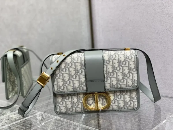 Dior Monogram Crossbody Bag image 1