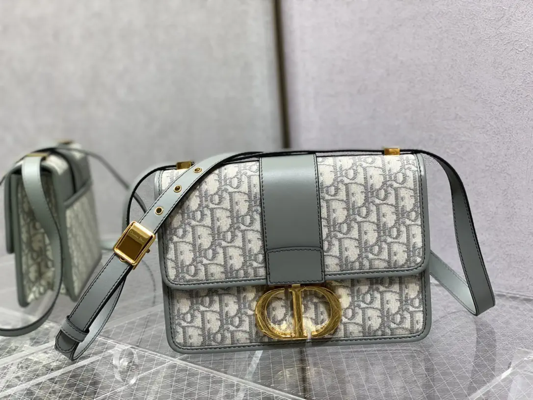 Dior Monogram Crossbody Bag image 1