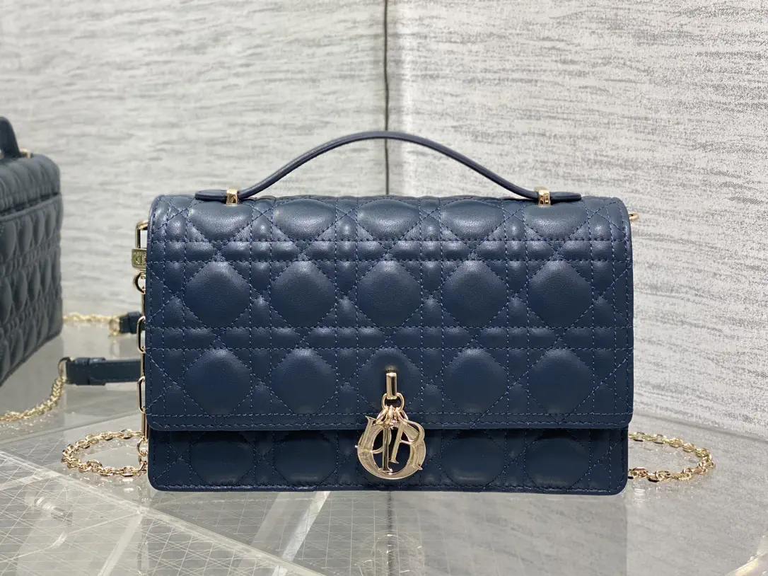 Dior Quilted Top Handle Chain Bag image 1