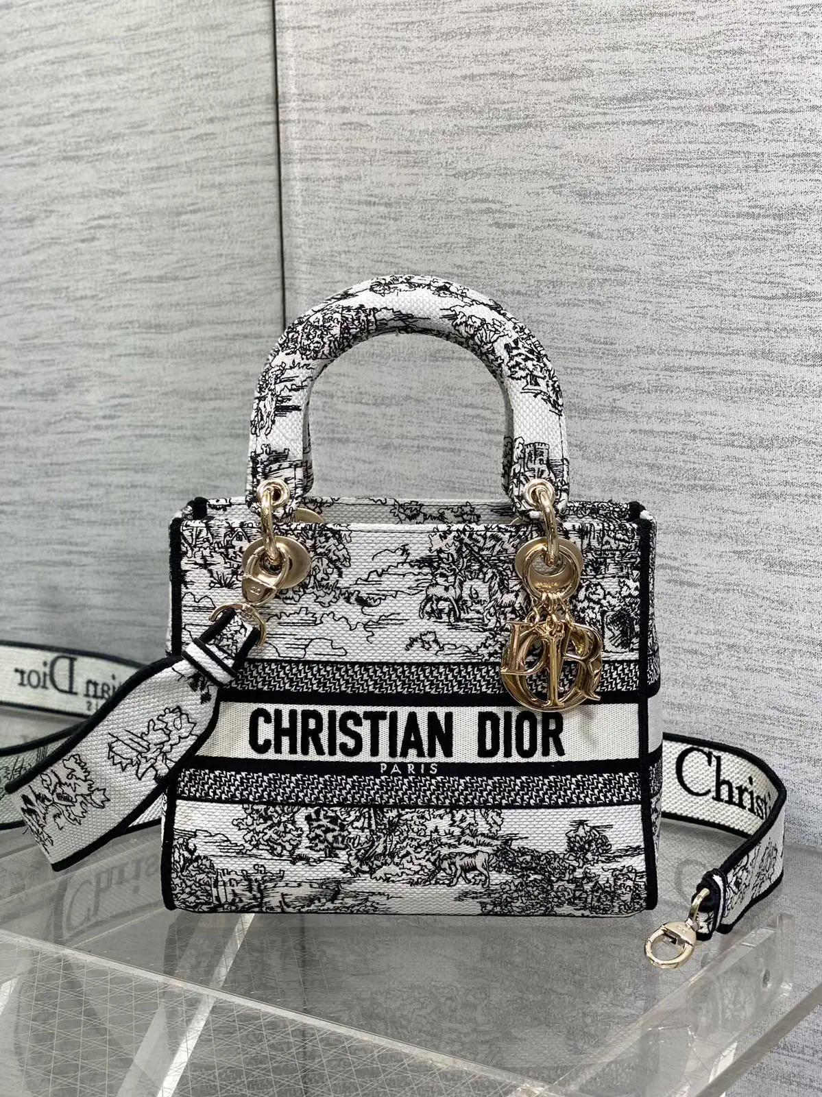 Dior Embroidered Top Handle Bag image 1