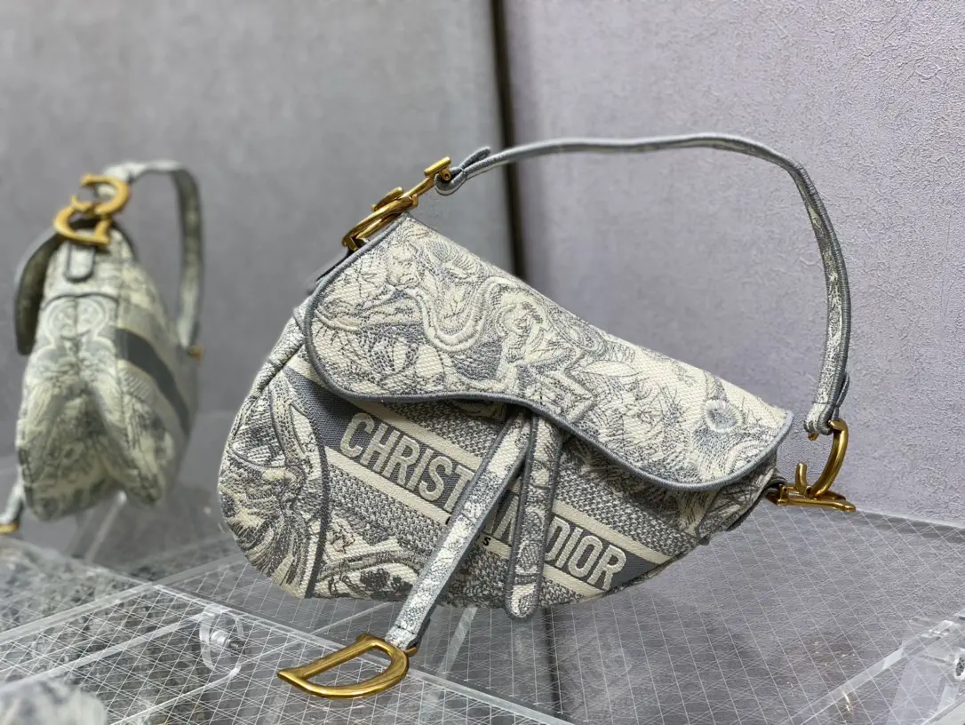 Dior Embroidered Saddle Shoulder Bag image 1