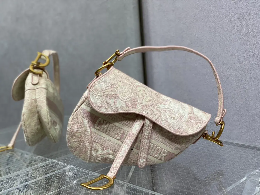 Dior Embroidered Saddle Shoulder Bag image 1