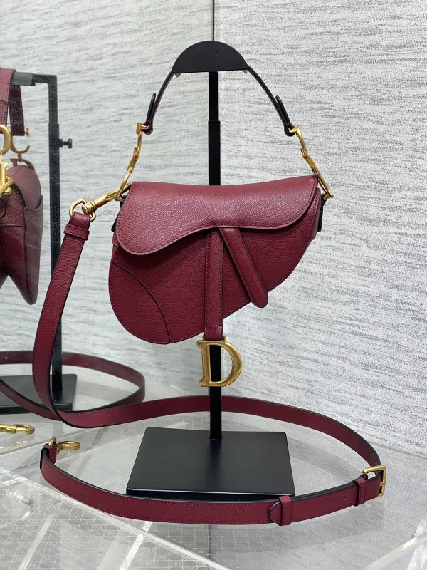 Dior Saddle Crossbody Bag image 1