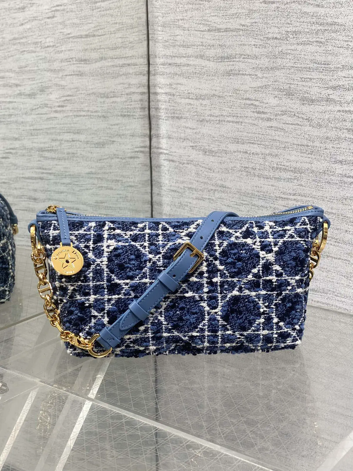 Dior Hobo Star Chain Crossbody Bag image 1