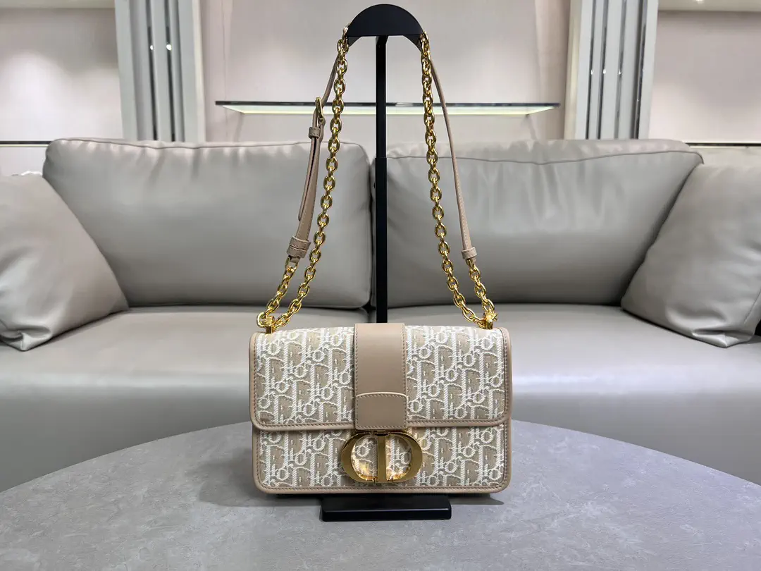 Dior Montaigne Chain Shoulder Bag image 1