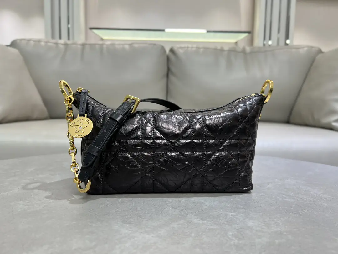 Dior Quilted Star Hobo Chain Shoulder Bag image 1