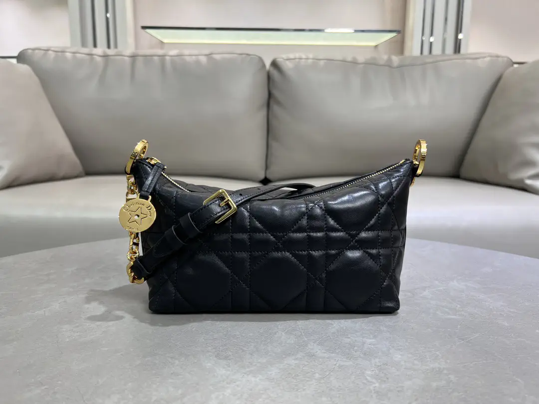 Dior Quilted Hobo Shoulder Bag image 1