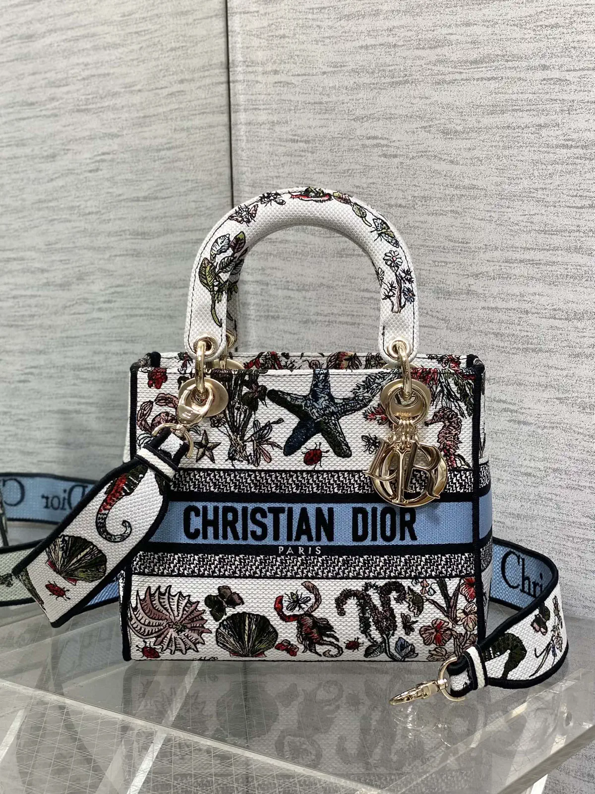 Dior Embroidered Top Handle Bag image 1