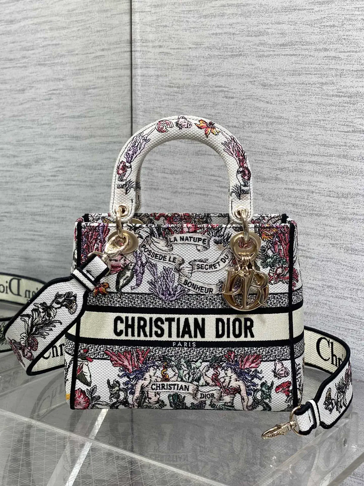 Dior Embroidered Top Handle Bag image 1