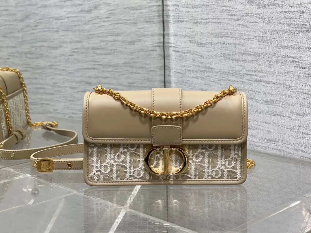 Dior Montaigne Chain Shoulder Bag image 1