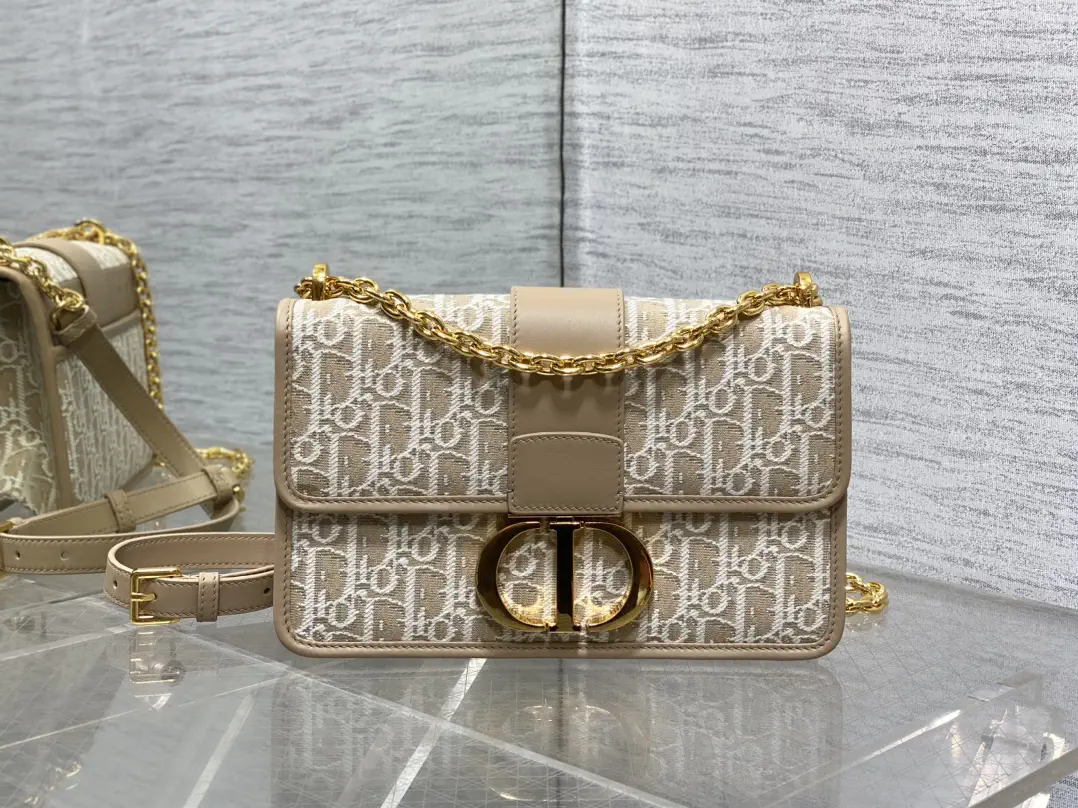 Dior Montaigne Chain Shoulder Bag image 1