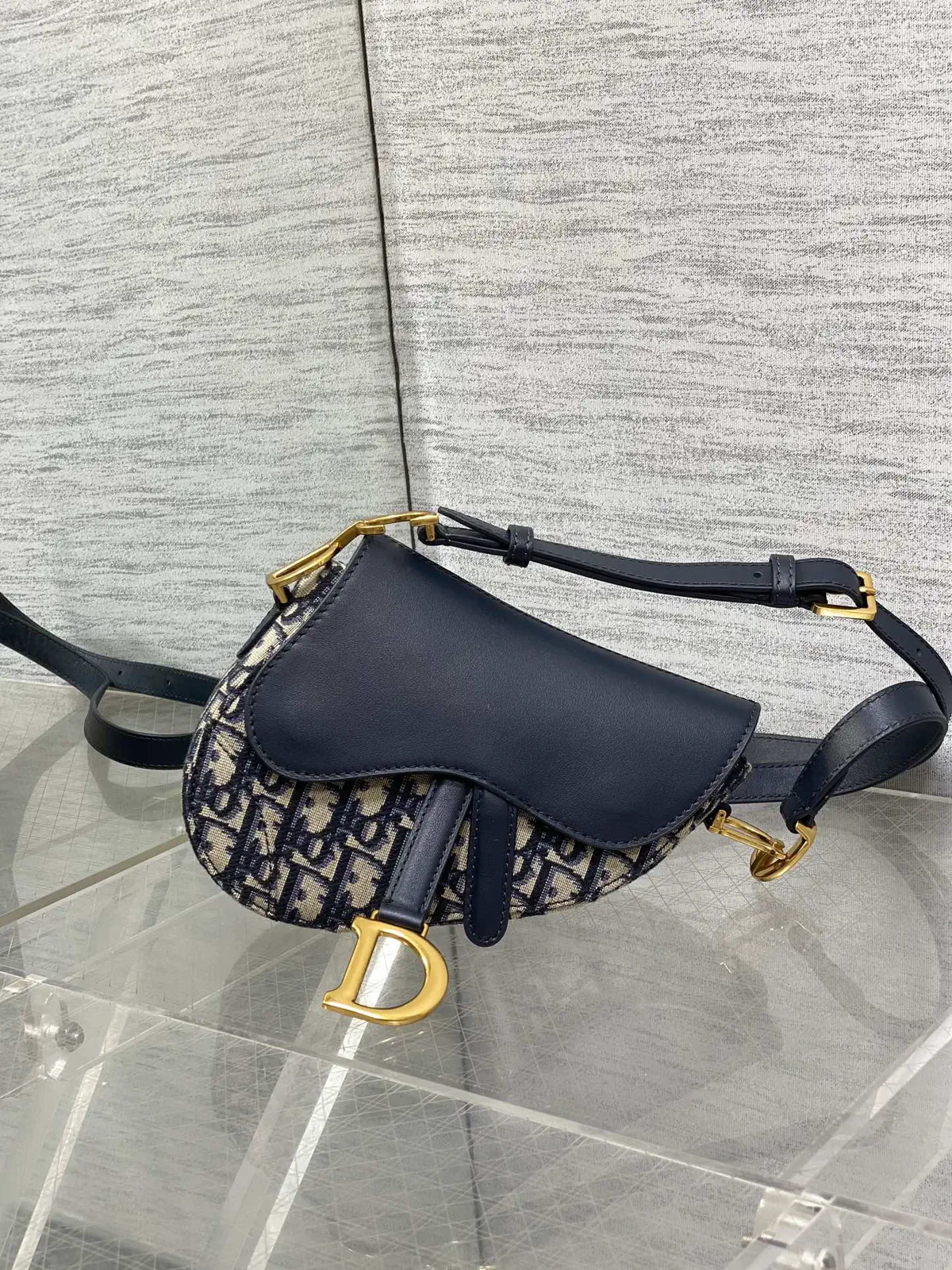 Dior Saddle Crossbody Bag image 1
