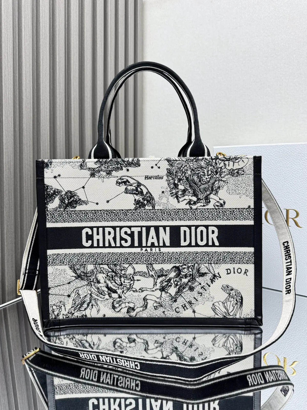 Dior Constellation Embroidered Book Tote Bag image 1