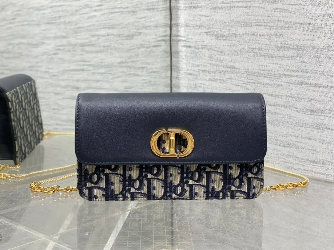 Dior Monogram Chain Crossbody Bag image 1