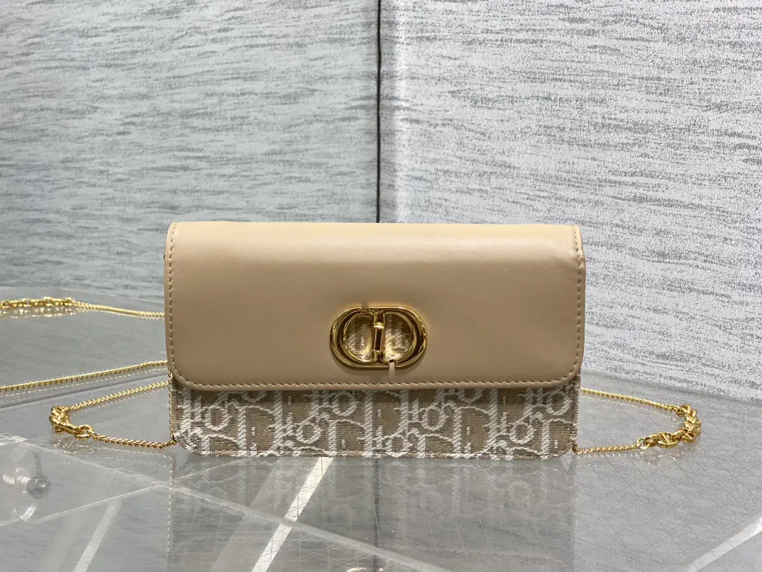 Dior Chain WOC Crossbody Bag image 1