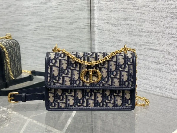 Dior Monogram Chain Crossbody Bag image 1