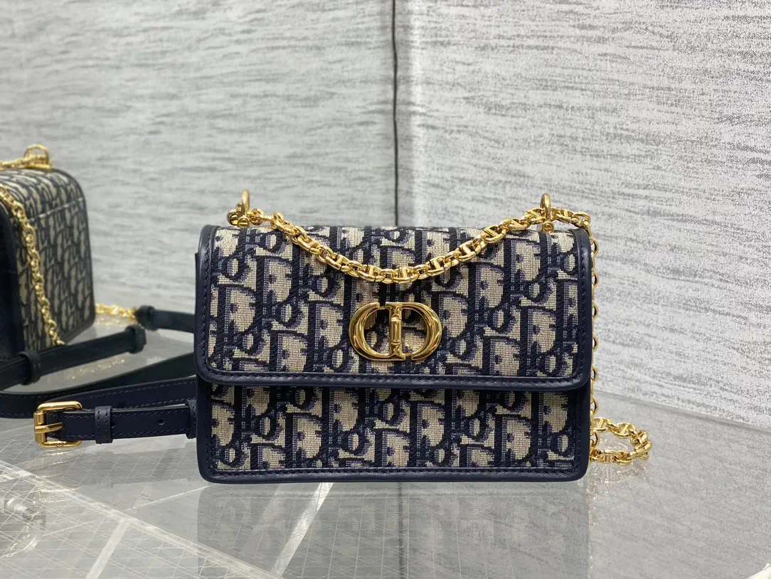 Dior Monogram Chain Crossbody Bag image 1