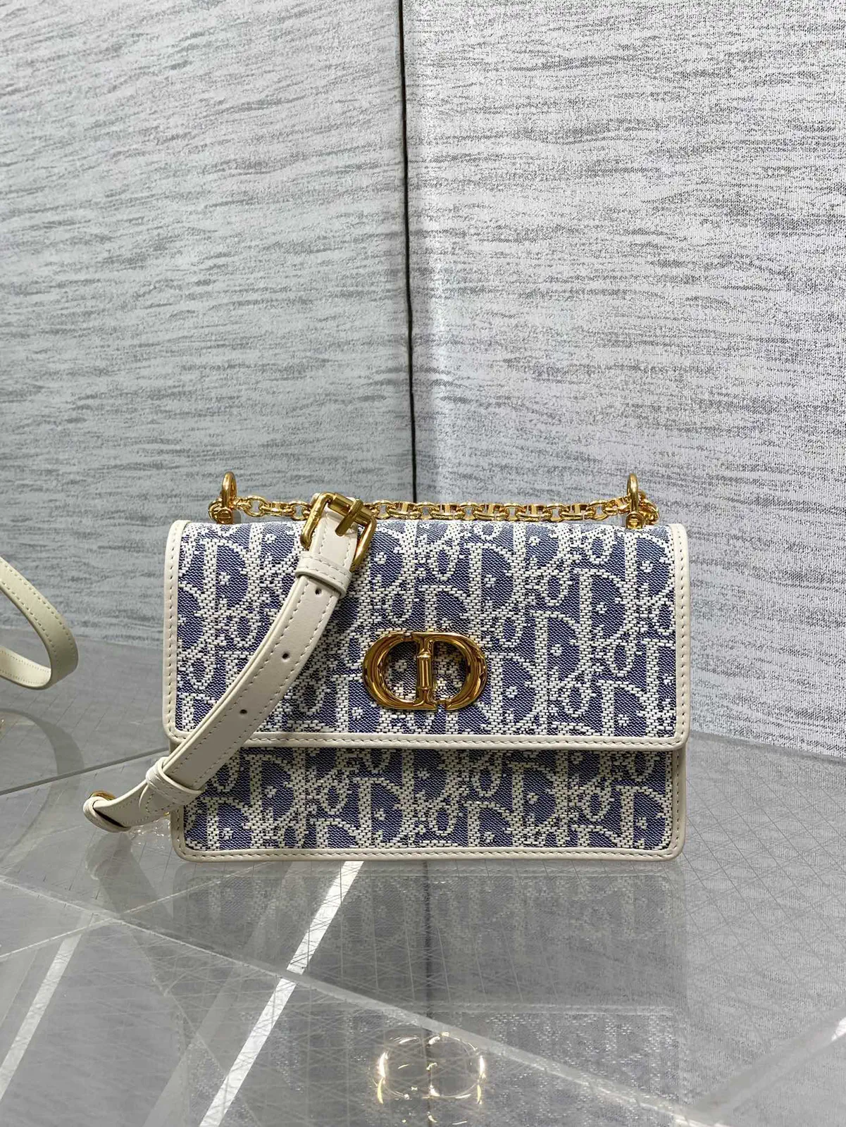Dior Monogram Chain Crossbody Bag image 1