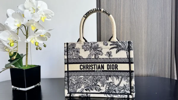 Dior Book Tote image 1