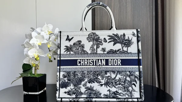 Dior Book Tote image 1