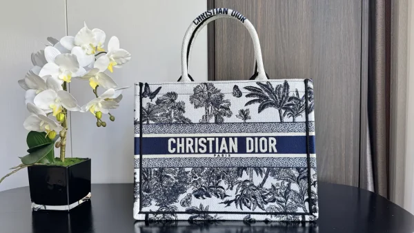 Dior Book Tote image 1