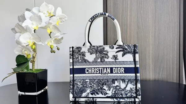 Dior Book Tote image 1