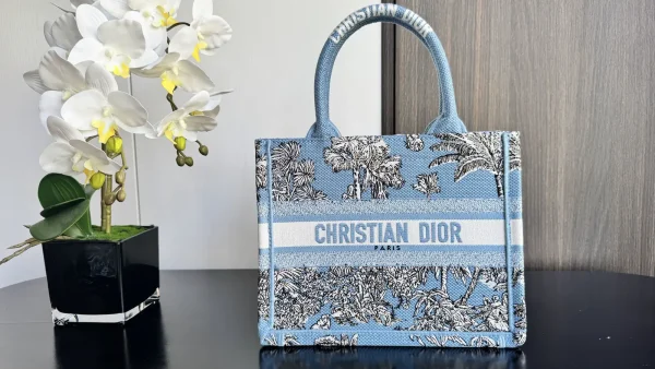 Dior Book Tote image 1