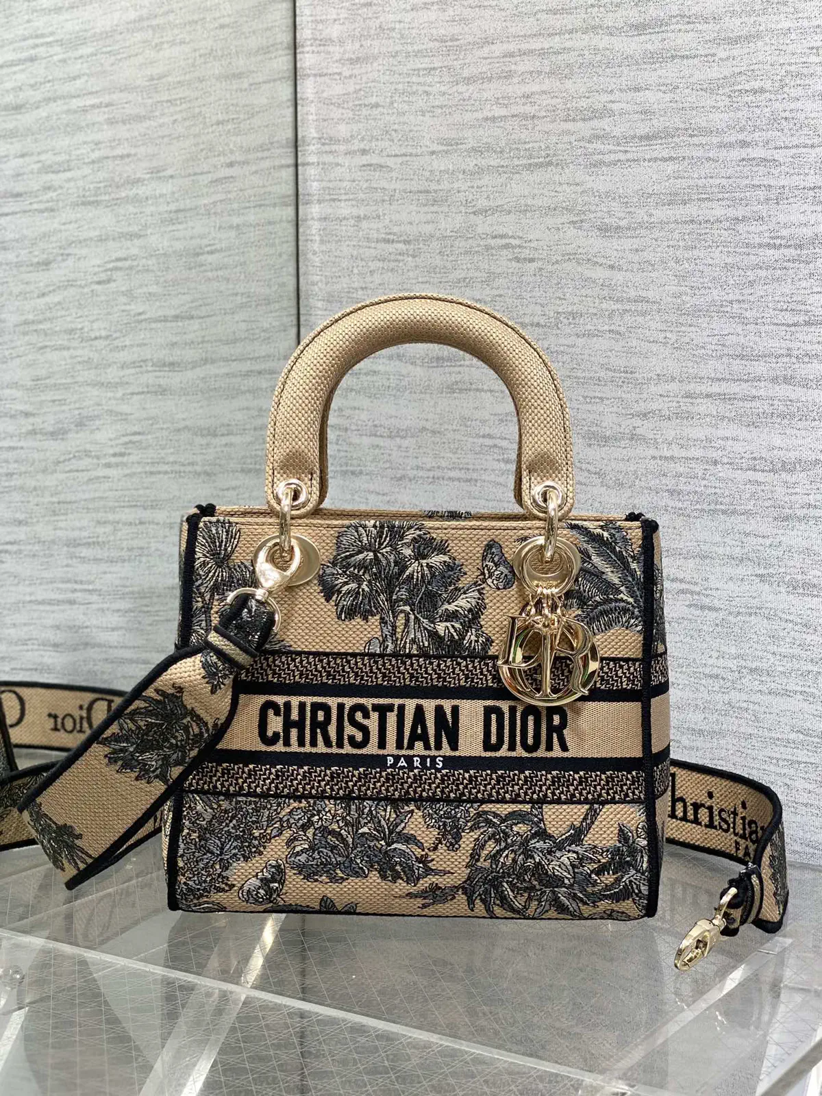 Dior Embroidered Top Handle Bag image 1
