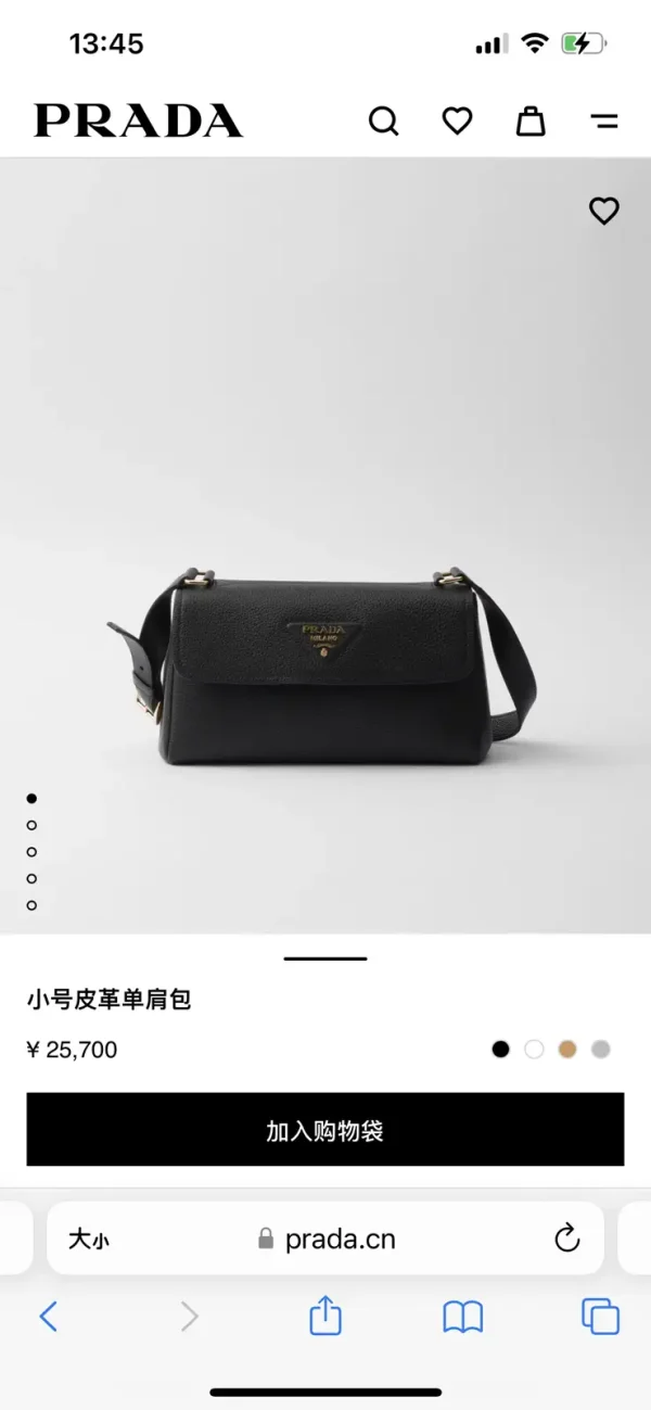 Prada Small Leather Shoulder Bag image 1