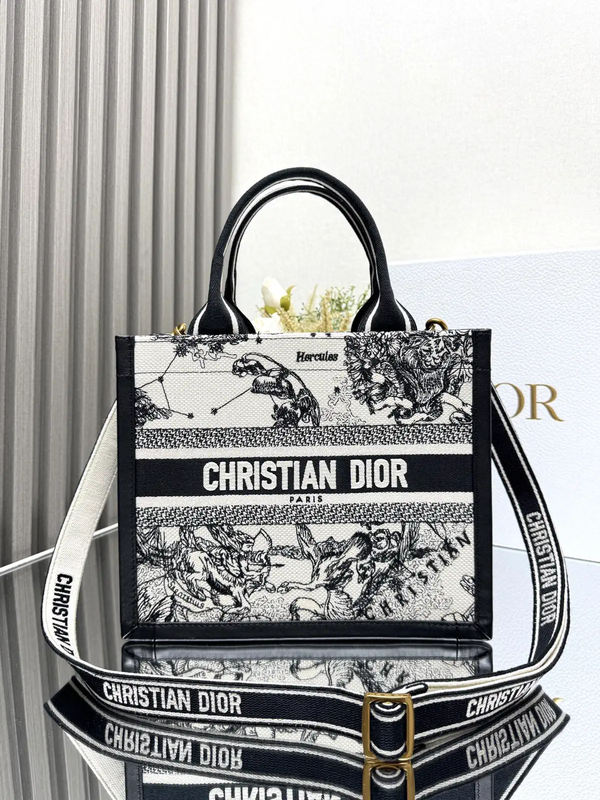 Dior Mini Book Tote Bag with Shoulder Strap image 1
