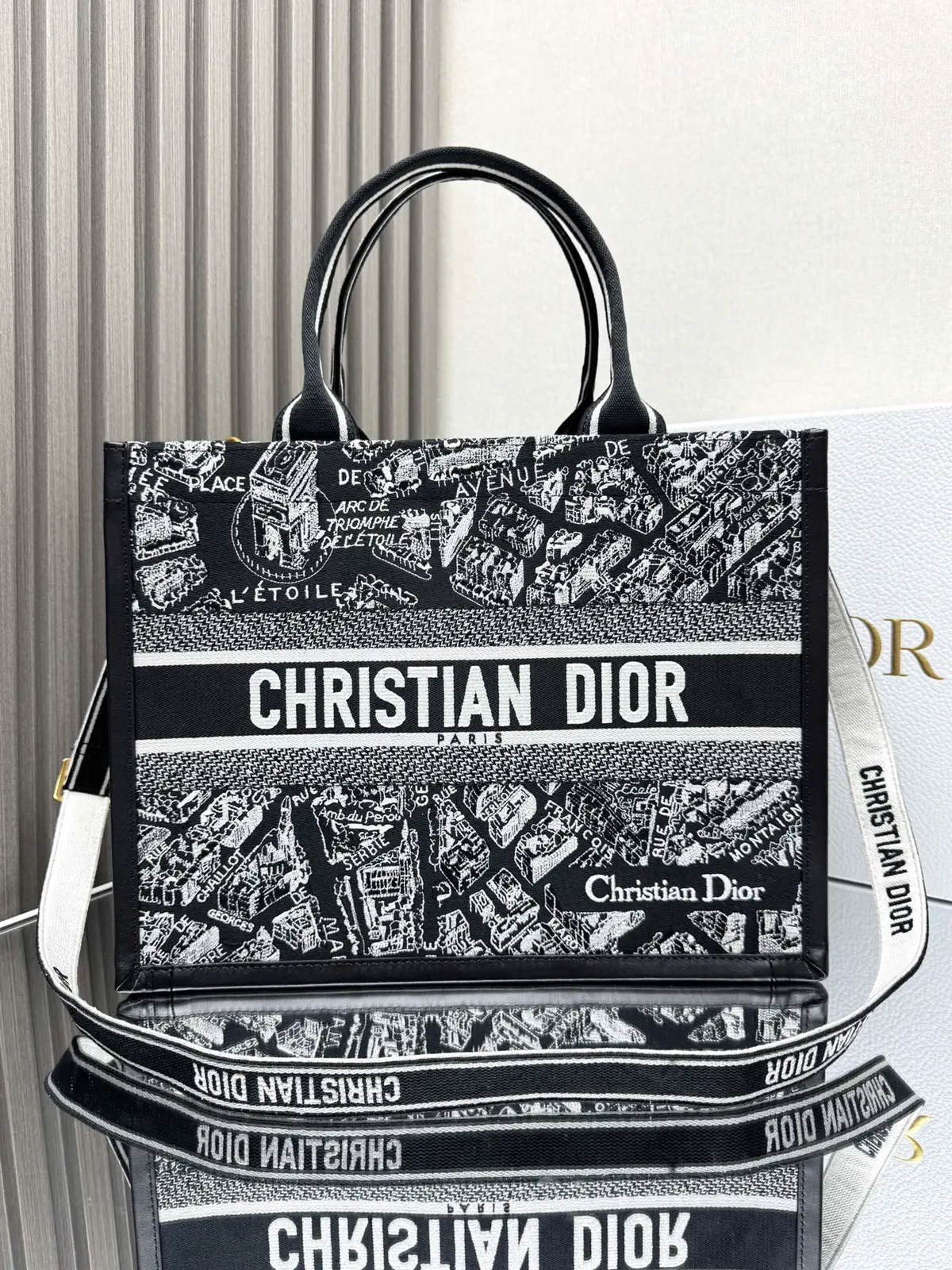 Dior Paris Map Embroidered Book Tote Bag image 1