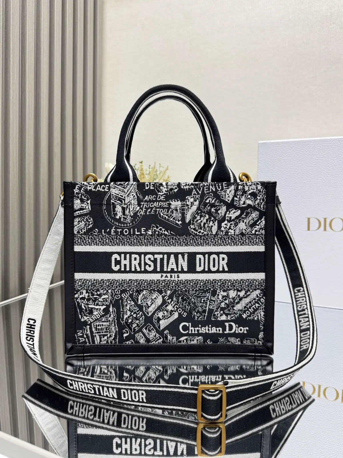 Dior Mini Book Tote Bag with Paris Map Embroidery and Shoulder Strap image 1
