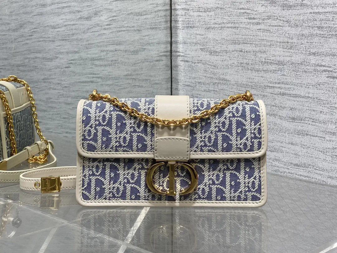 Dior Montaigne Chain Shoulder Bag image 1