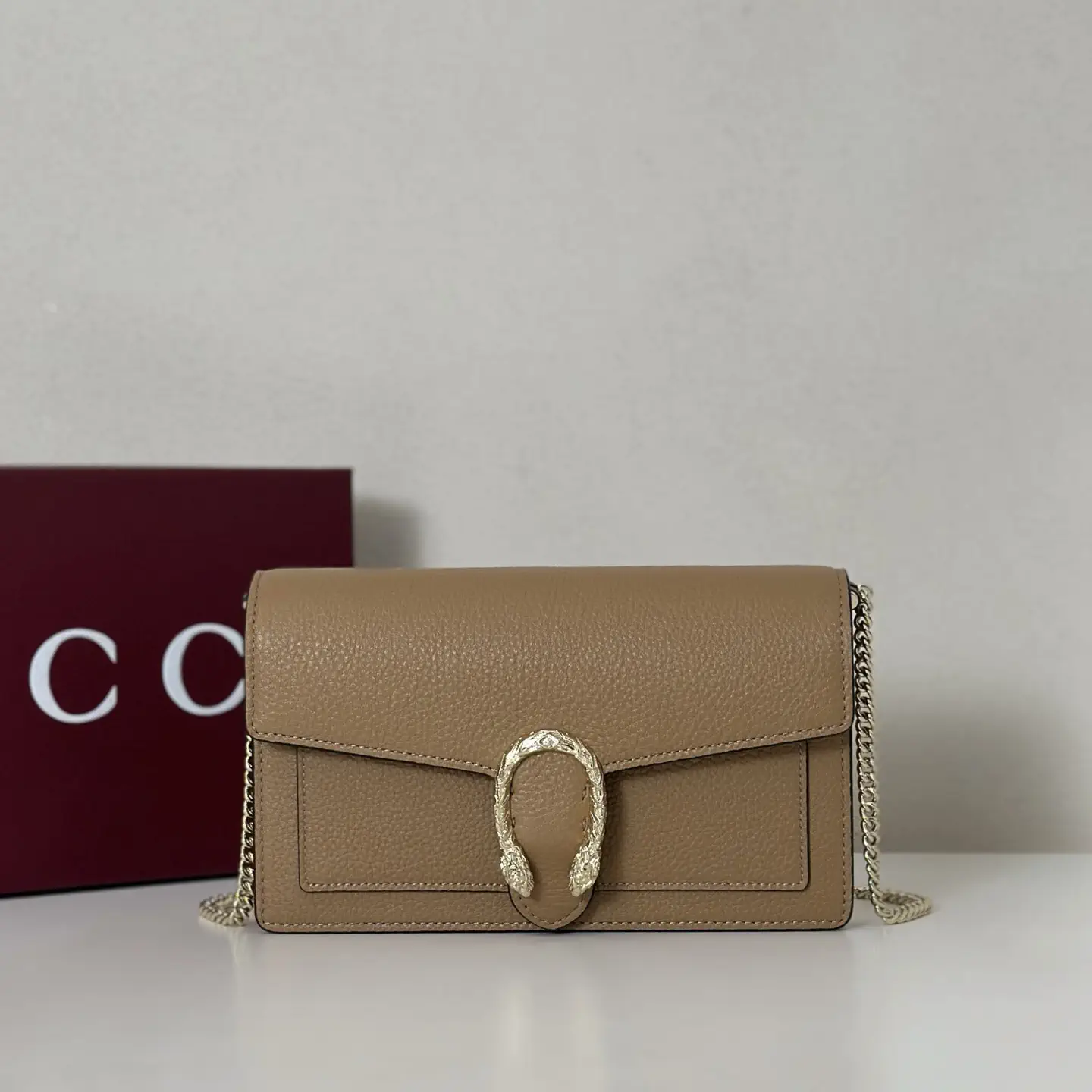 Gucci Chain Crossbody Bag image 1