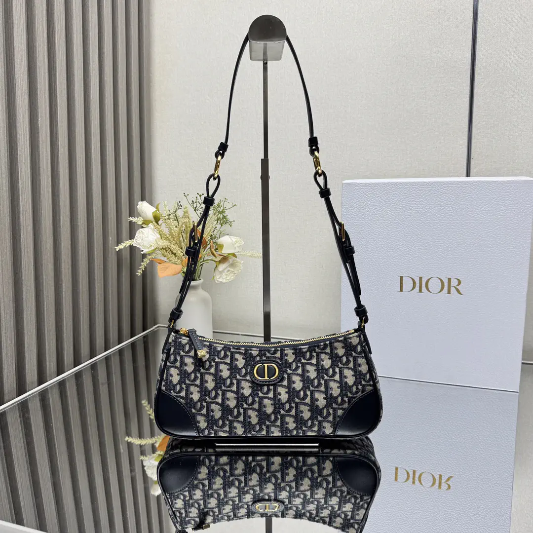 Dior Wanderlust Mini Bag with Blue Oblique Print image 1