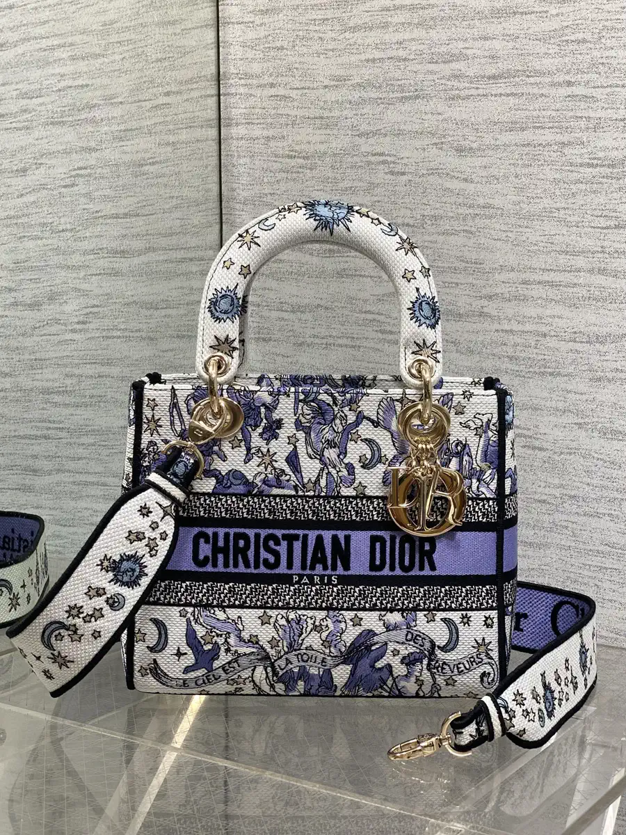 Dior Embroidered Top Handle Bag image 1
